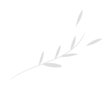 Punjabi heritage farmhouse Malowal