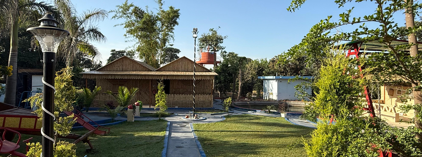 Welcome to Luzan Farm